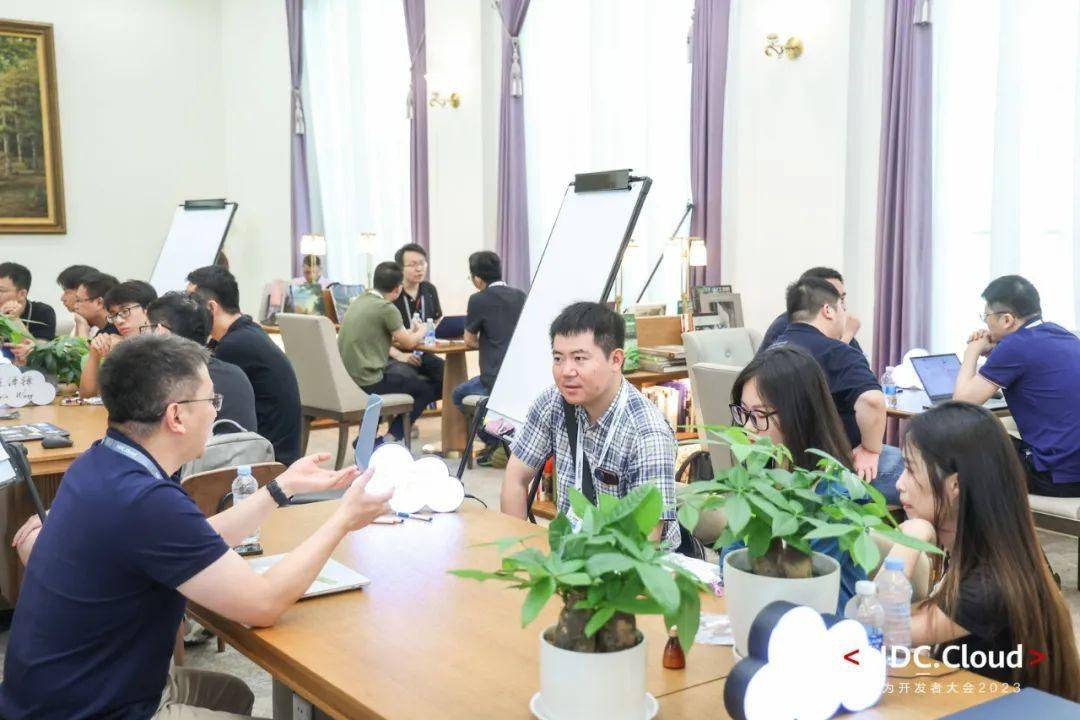 CQ9电子码中寻趣：低码专家与开发者的「神秘会议」(图5)