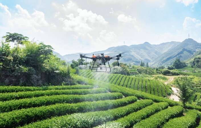 扎根智慧农业里的青年：在黑CQ9电子土地上找准新坐标(图2)