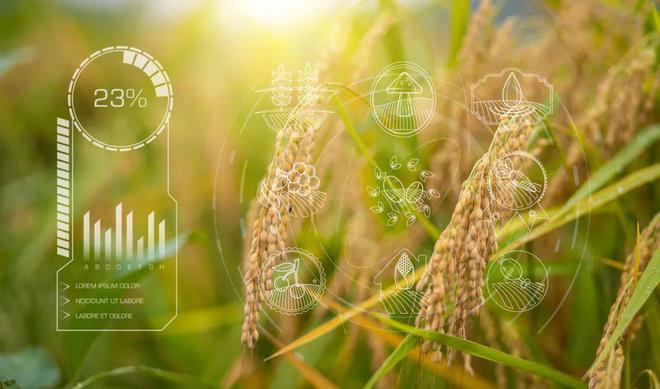 CQ9电子供应商“干中学”竟会损害买家利益!他的UTD赋能供应链管理实践(图3) CQ9电子供应商“干中学”竟会损害买家利益!他的UTD赋能供应链管理实践(图3)