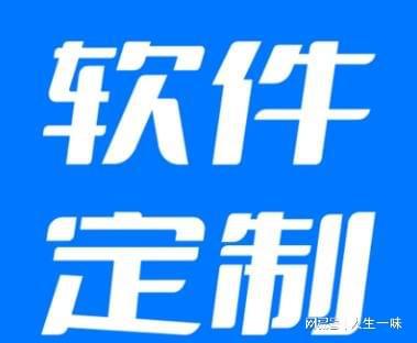 系统软件开发费用（国内软件开CQ9电子发公司排行榜）(图1)