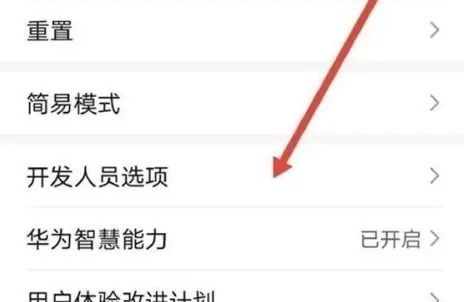 华为mate40E开发者选项在哪里 华为mate40E开发者CQ9电子选项设置方法【教程】(图3) 华为mate40E开发者选项在哪里 华为mate40E开发者CQ9电子选项设置方法【教程】(图3)
