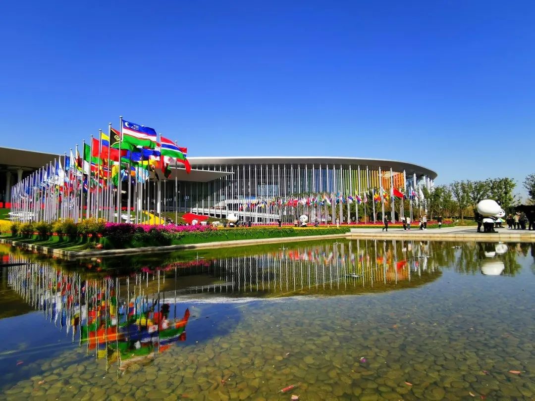 CQ9电子参观进博会还有这4条特色线路带你细细体味闵行(图1)