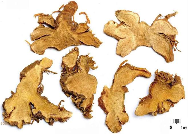 CQ9电子Autodesk AutoCAD如何下载安装？CAD三维计算机辅助设计软件(图3)