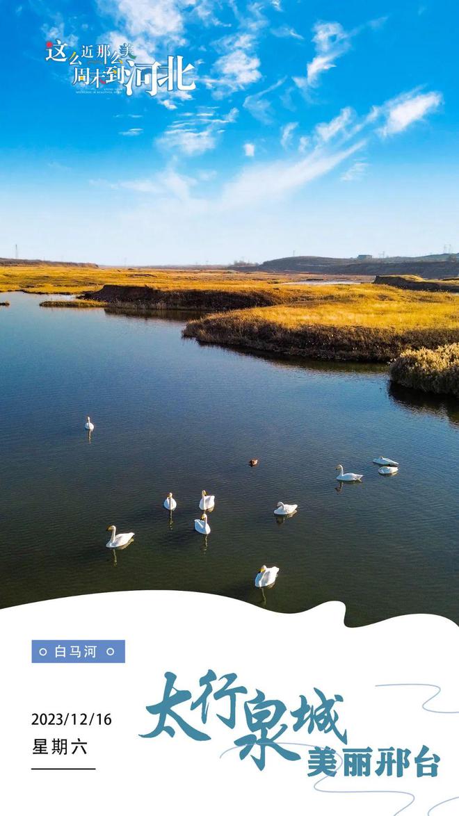 CQ9电子开发区成为全市经济重要增长极(图4)