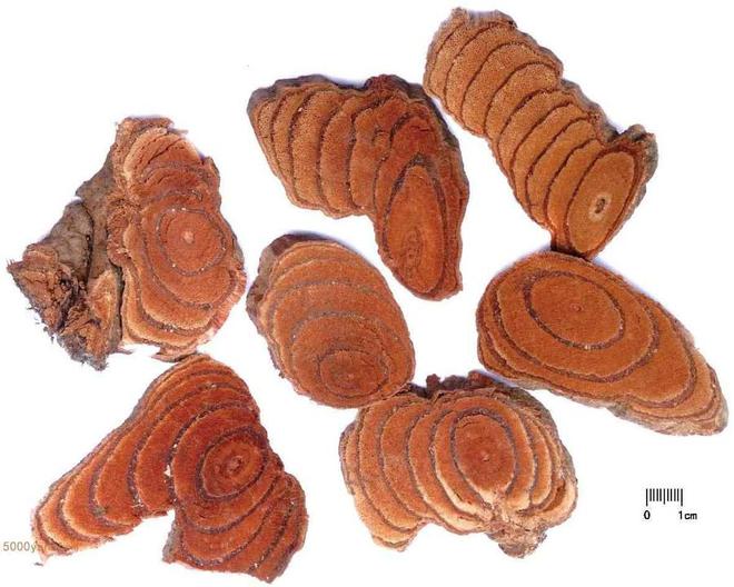 CQ9电子ideaiu下载安装;ideaiu Java开发工具必备软件!(图3) CQ9电子ideaiu下载安装;ideaiu Java开发工具必备软件!(图3)