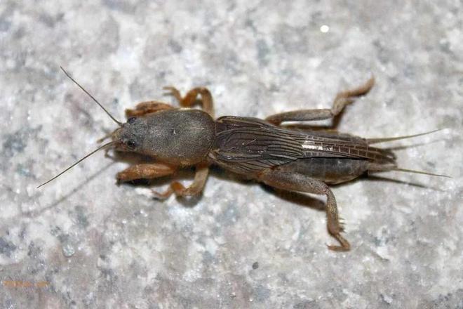 CQ9电子著名图像处理软件 Adobe Photoshop安装包下载;PS破解版本齐全(图1) CQ9电子著名图像处理软件 Adobe Photoshop安装包下载;PS破解版本齐全(图1)