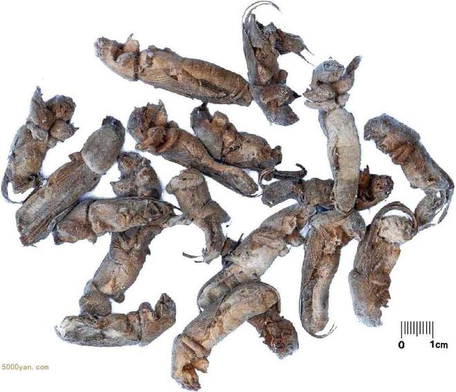 CQ9电子著名图像处理软件 Adobe Photoshop安装包下载;PS破解版本齐全(图2) CQ9电子著名图像处理软件 Adobe Photoshop安装包下载;PS破解版本齐全(图2)