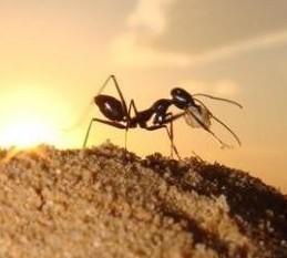 CQ9电子TIA Portal自动化软件套件下载；TIA Portal博途安装包下载(图2)