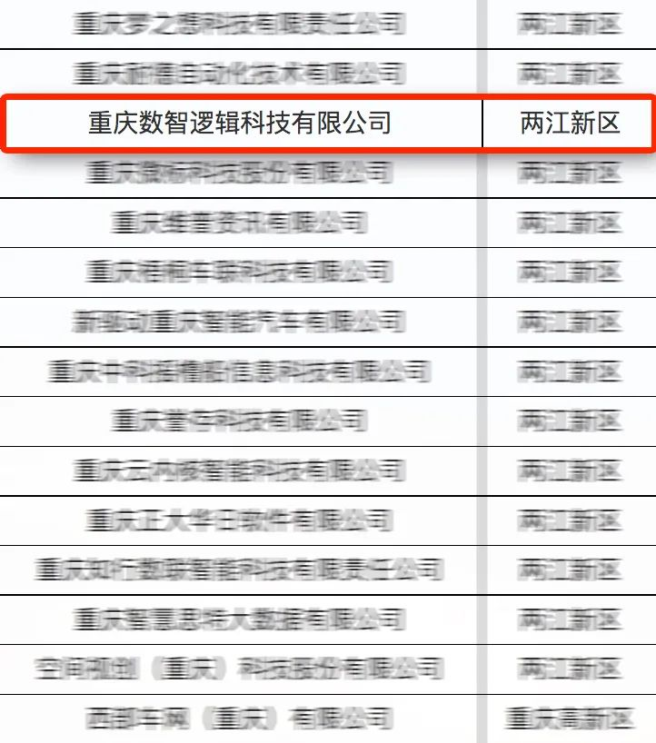 亚信科技旗下数智逻辑入选首批重庆市软件和信息服务业“满天星”示范企业(图2)