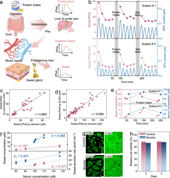 用于追踪运动代谢的可穿戴多模式生物微流控芯片开发(图5)