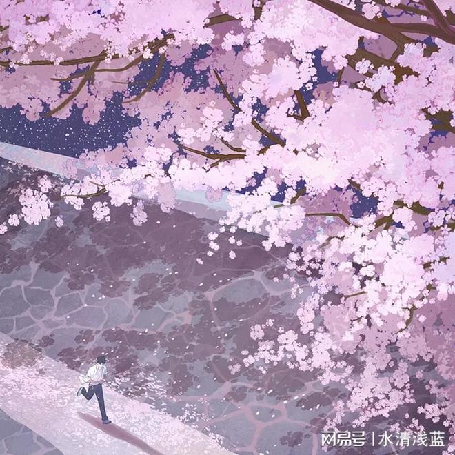 PS破解版图像处理软件下载安装；Adobe Photoshop安装包下载(图2)