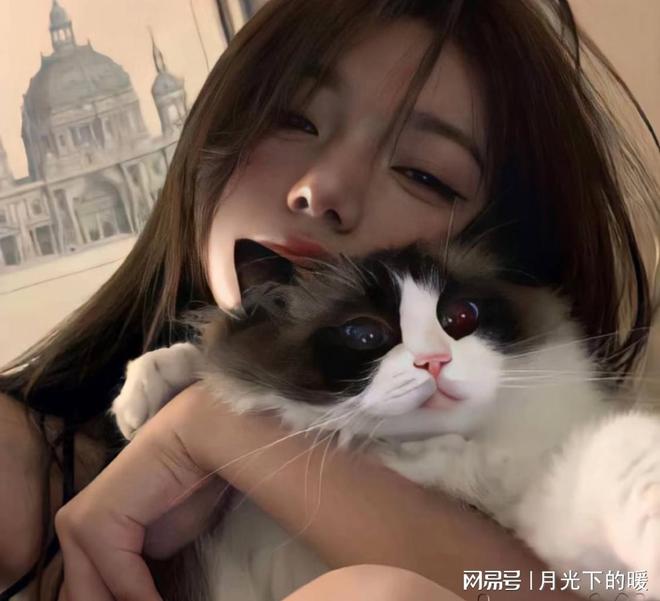 Animate 2024：动画设计和交互式媒体制作工具macwin版软件下载(图2)