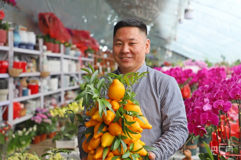 【新春走基层】太原90后夫妻 用科技赋能花卉养殖(图4)