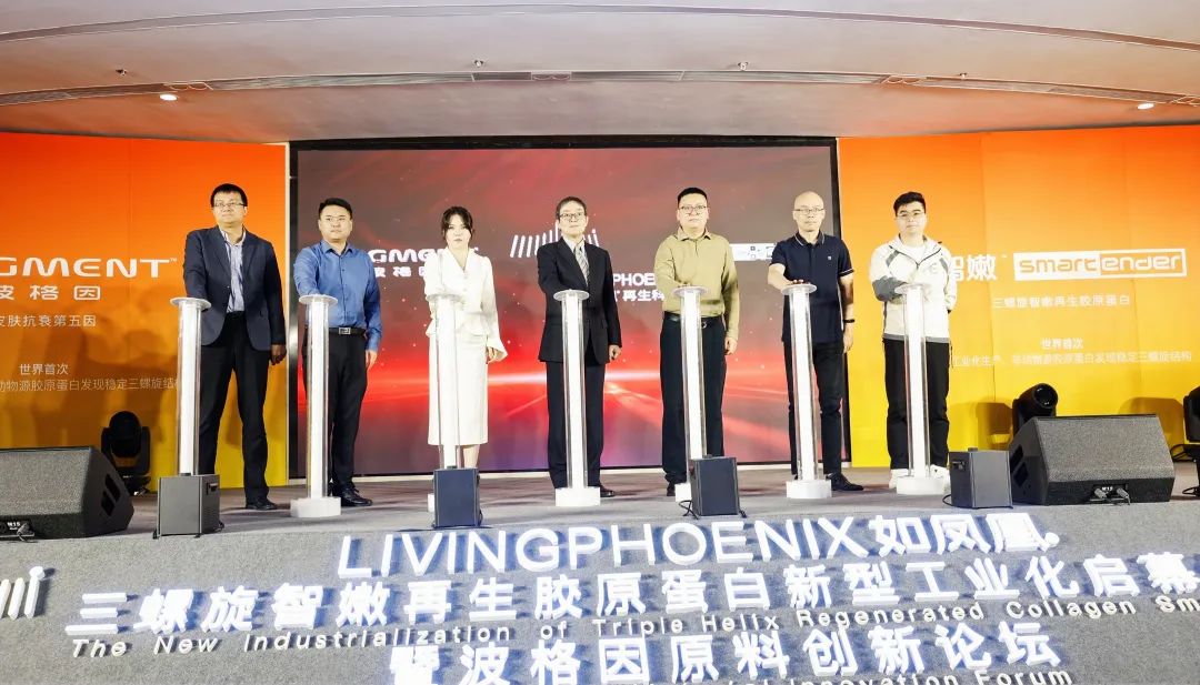 如凤凰架构完整技术开发平台“高浓度+三螺旋”或成业界黑马(图3)