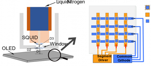 大学生科研团队突破OLED磁检测技术效率提升万倍(图1)