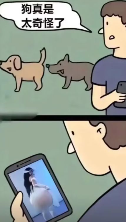 微博备份保存工具Weibo-archiver软件体验(图9)