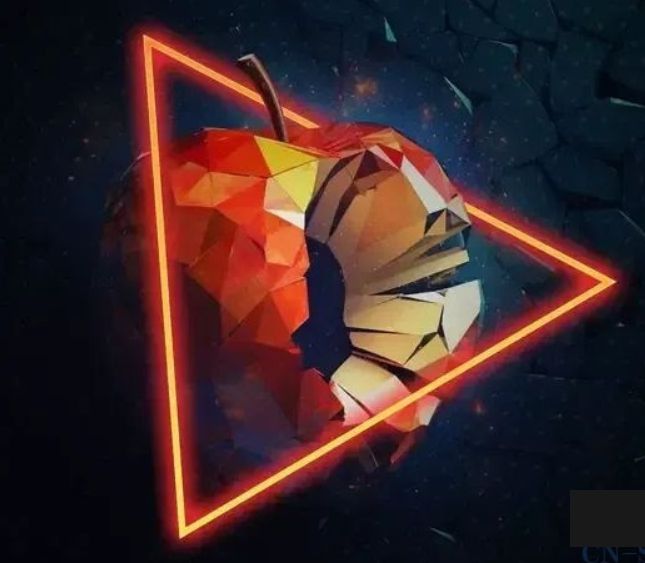 这种iPhone间谍软件一条消息手机就被破解(图5)