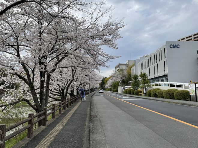 “LV店里都是中国人！”日元贬值下海外游客涌入“扫货”(图3)