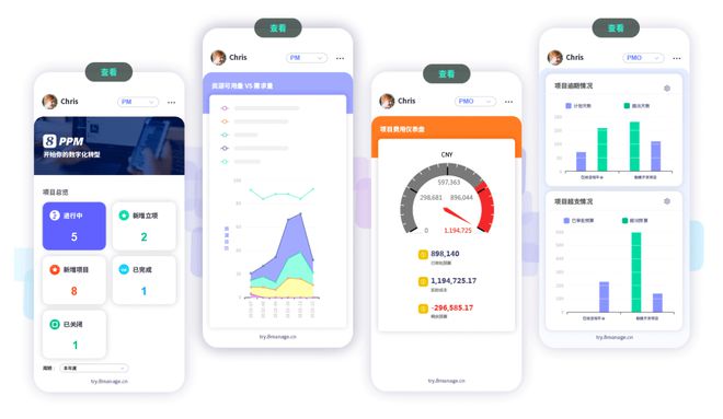 IT项目管理：定义、功能、软件工具(图2)