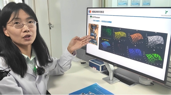 一扫辨年代、真伪！武王墩墓、故宫文物检测用上济南“黑科技”(图2)