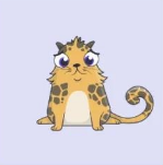 tp钱包app官方下载-tp钱包app官方下载2022正式版v53·TPWallet怎样(狗狗币排名)【触摸屏与OLED网】(图1)