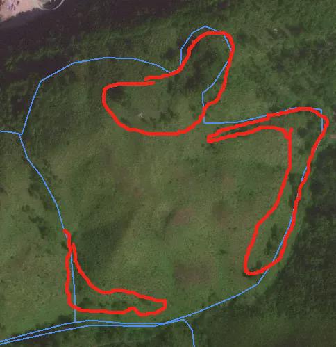 林业碳汇边界合规问题什么类型林业可以开发碳汇？(图1)