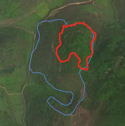 林业碳汇边界合规问题什么类型林业可以开发碳汇？(图2)