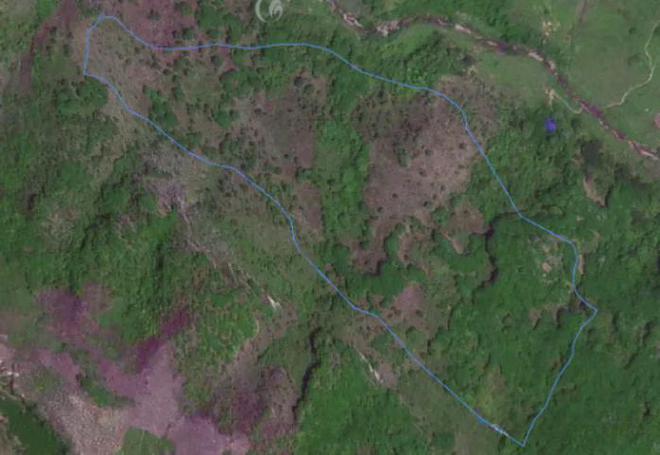 林业碳汇边界合规问题什么类型林业可以开发碳汇？(图3)