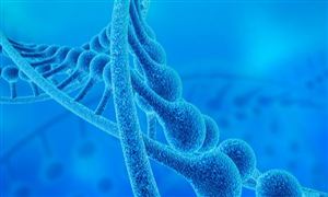 2024年ERP软件行业市场发展现状及未来发展前景分析(图3)