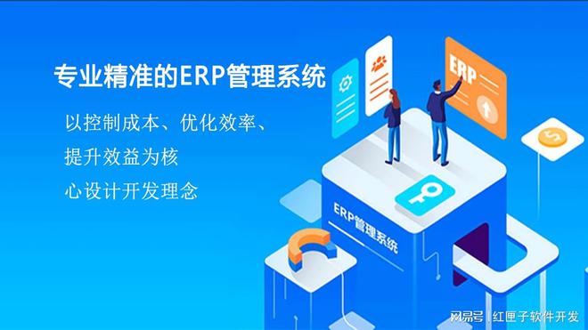 erp系统开发(图1)