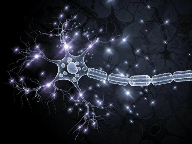 「千脑计划」启动模仿人类大脑皮层开发全新AI盖茨资助(图1)