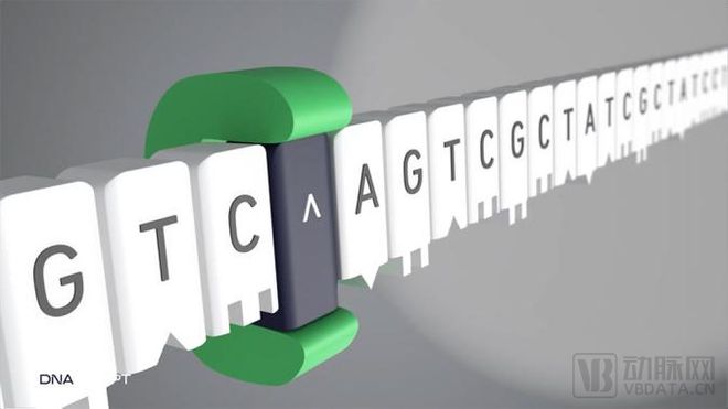 开发出世界首台采用酶促技术的台式DNA打印机后这家企业融资超11亿(图6)