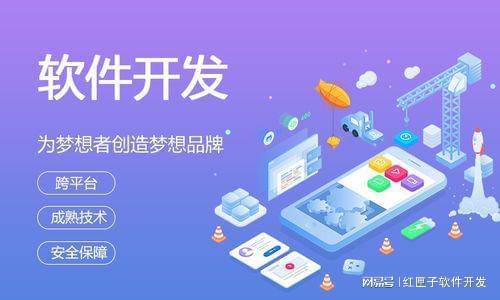 软件平台开发(图1)